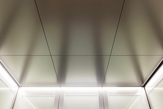 中国 優雅な方法ステンレス鋼の天井板利用できるさまざまな材料 サプライヤー