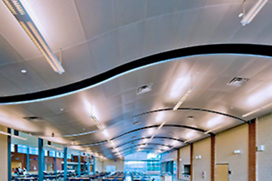 中国 寛大で美しい商業天井のタイル、ステンレス製の天井のタイルの標準サイズ10 / 15MM サプライヤー