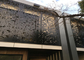 美しい装飾的な金属パネルの外面、承認された装飾的な鋼鉄壁パネルISO9001 サプライヤー